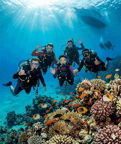 Diving